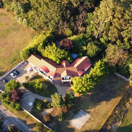 Guest house Owlcastle-bagolyvar