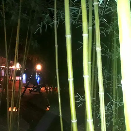 Owlcastle-bagolyvar Hajdúszoboszló