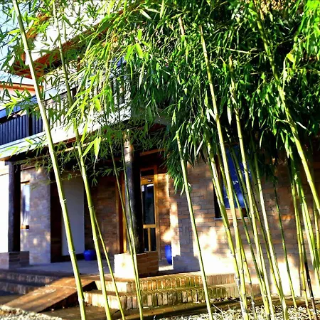 Guest house Owlcastle-bagolyvar