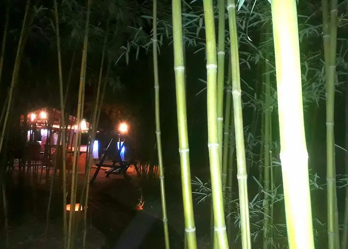 Owlcastle-bagolyvar Hajdúszoboszló